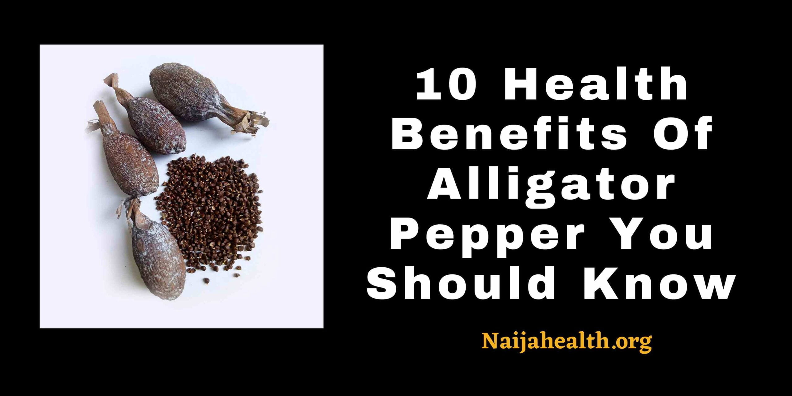 10 Health Benefits Of Alligator Pepper You Should Know