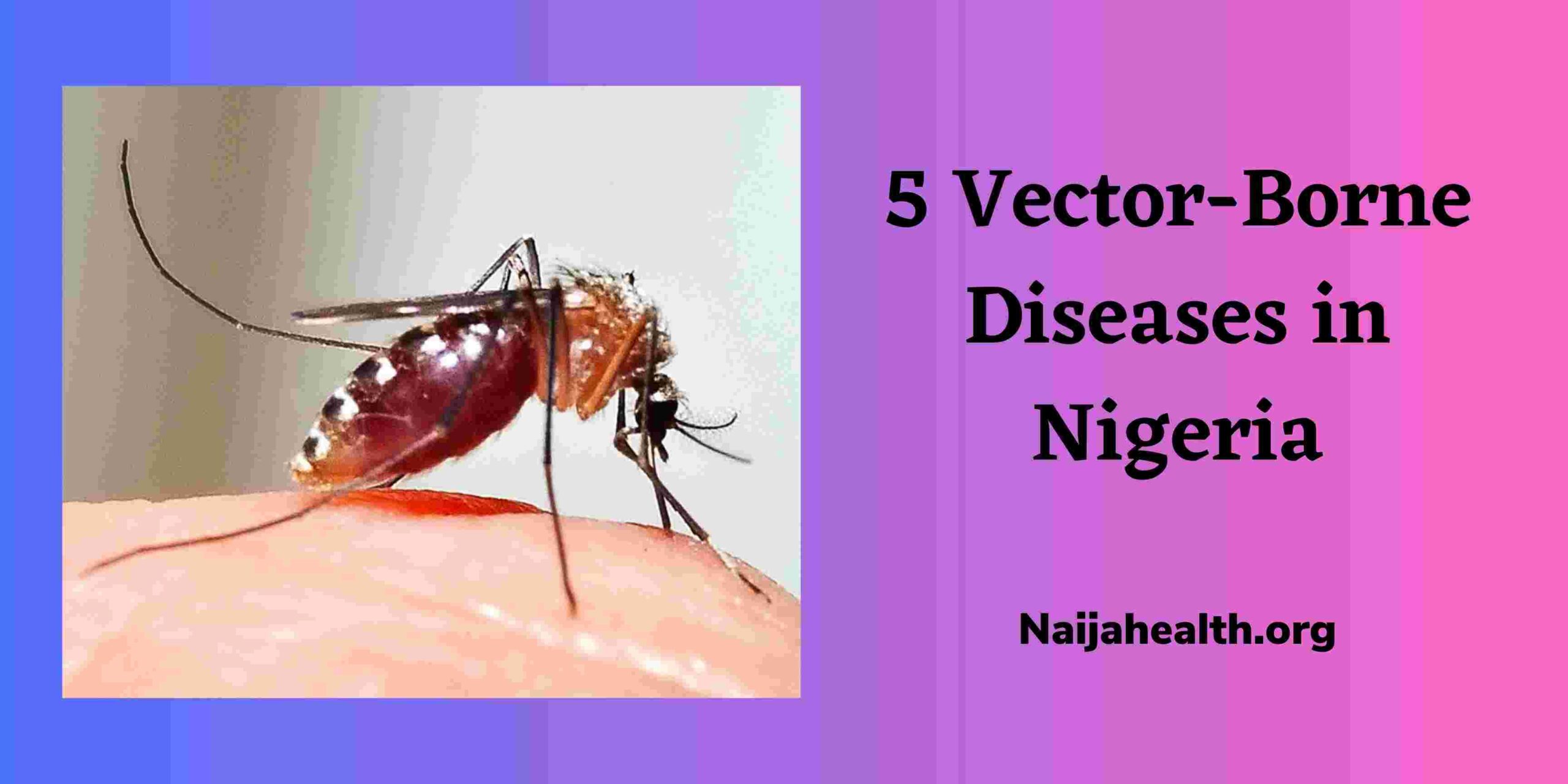 5 Vector-Borne Diseases in Nigeria