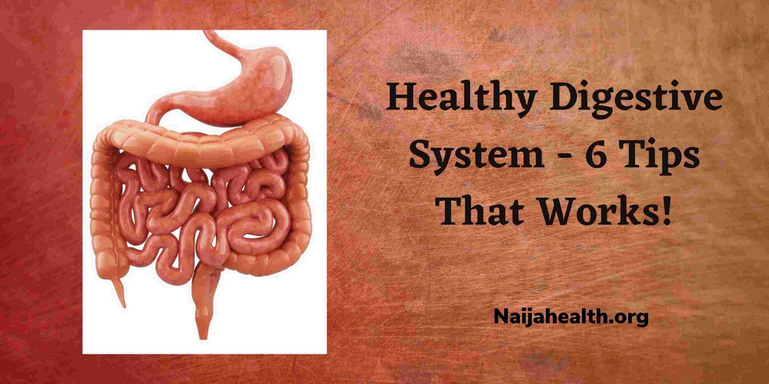 Healthy Digestive System - 6 Tips That Works!