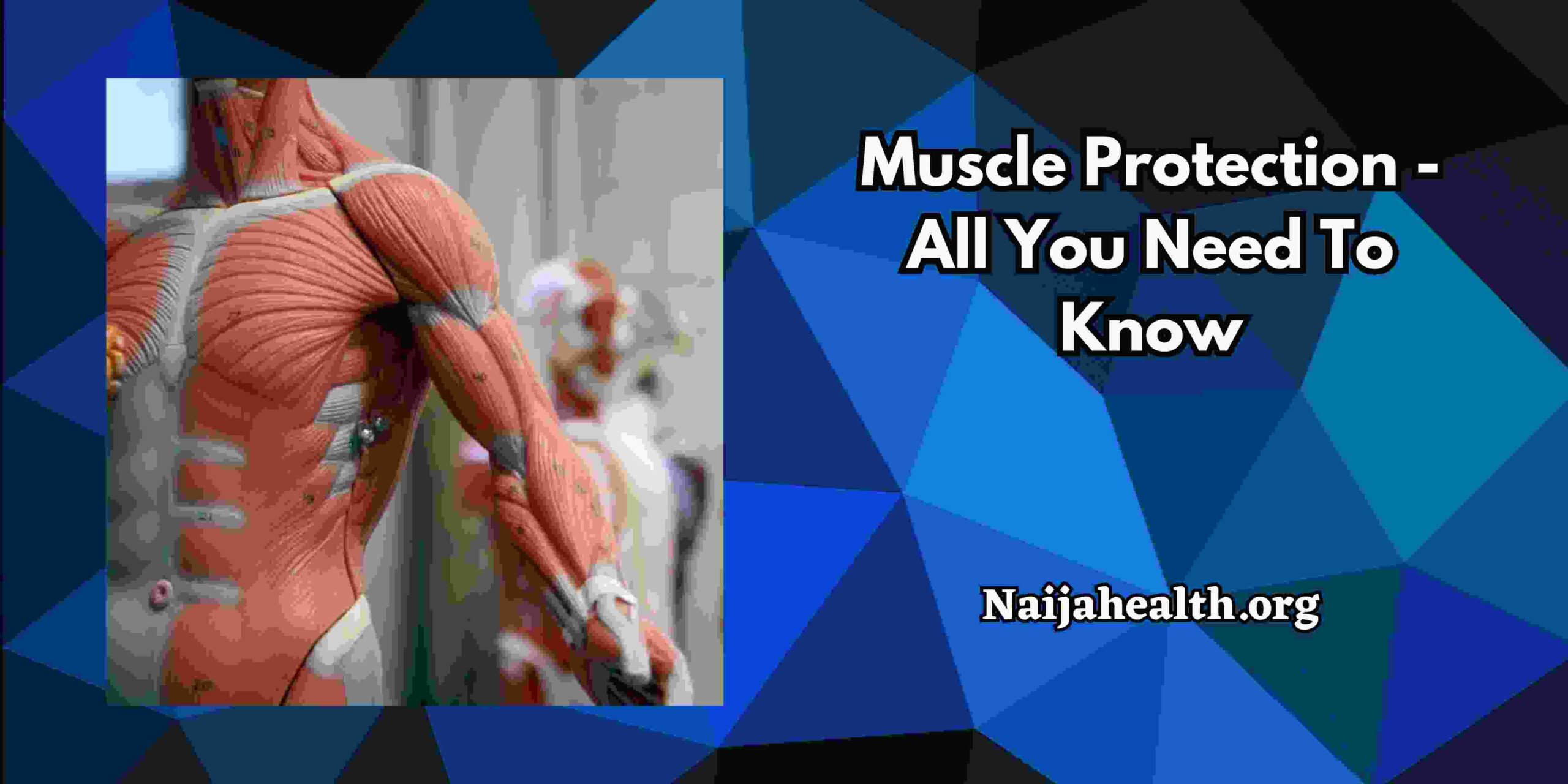 Muscle Protection - All You Need To Know