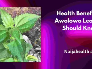 Health Benefits of Awolowo Leaf You Should Know