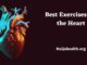 Best Exercises for the Heart