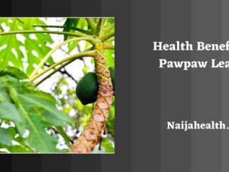 Health Benefits of Pawpaw Leaves 