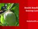 Health Benefits of Soursop Leaves